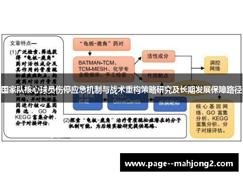 国家队核心球员伤停应急机制与战术重构策略研究及长期发展保障路径 国家队核心球员伤停应急机制与战术重构策略研究及长期发展保障路径